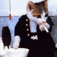 smokecat.jpg
